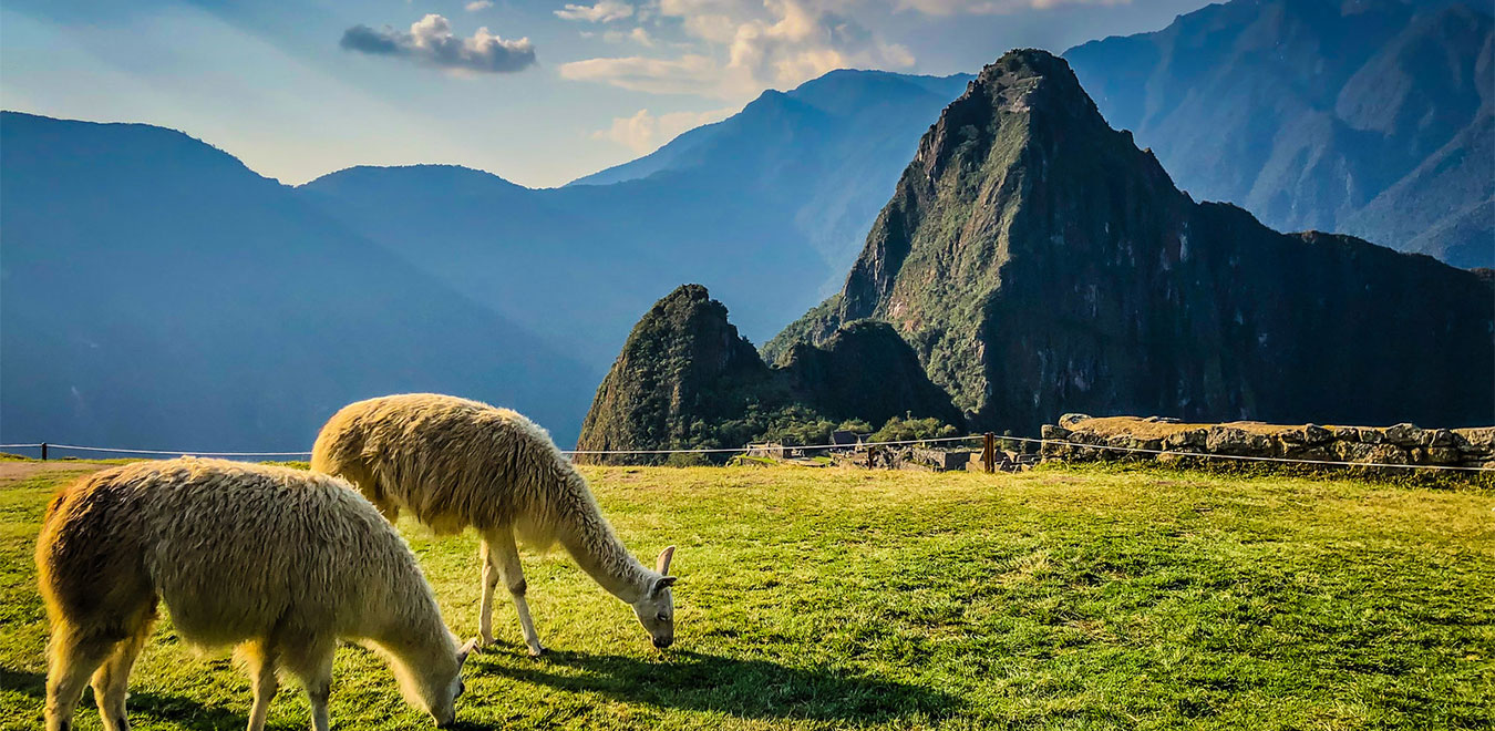 Machu Picchu Tour